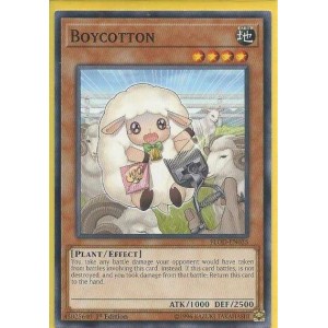 FLOD-EN035 Boycotton – Common